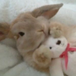 Meet your Posher, Samara